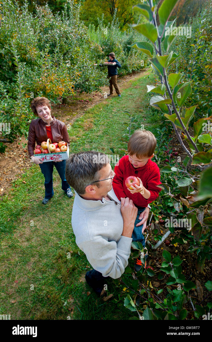 USA Maryland Family apple picking at a pick your own produce farm