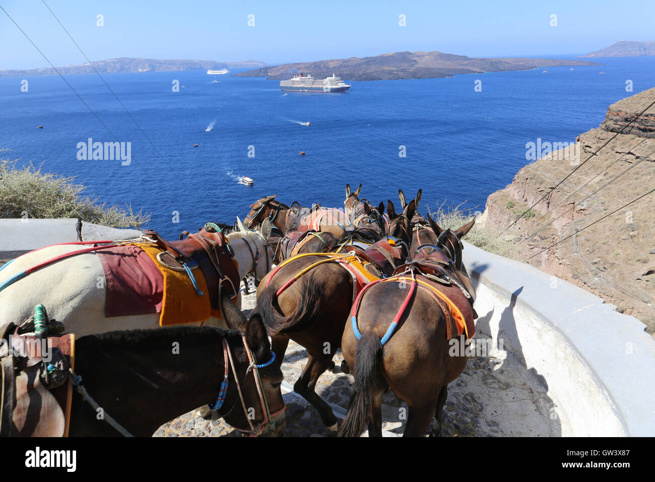 Donkeys on the climb from the harbor in Fira,Santorini, Greece Stock Photo