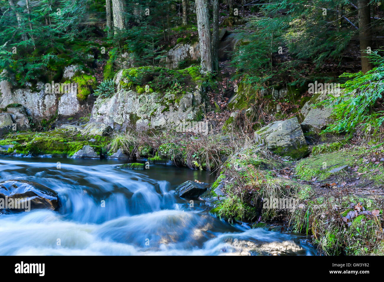 River flowing through rocks, moss, and forest in the Dells of the Eau