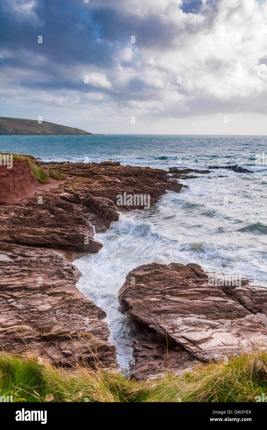 Outcrop of reddish purple Lower Devonian mudstone (part of the Whitsand Bay Formation) at Wembury Beach in Devon, England Stock Photo