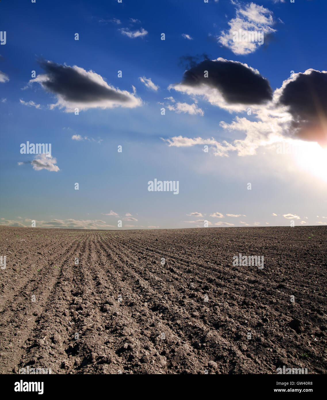 black ploughed field under blue cloudy sky Stock Photo - Alamy