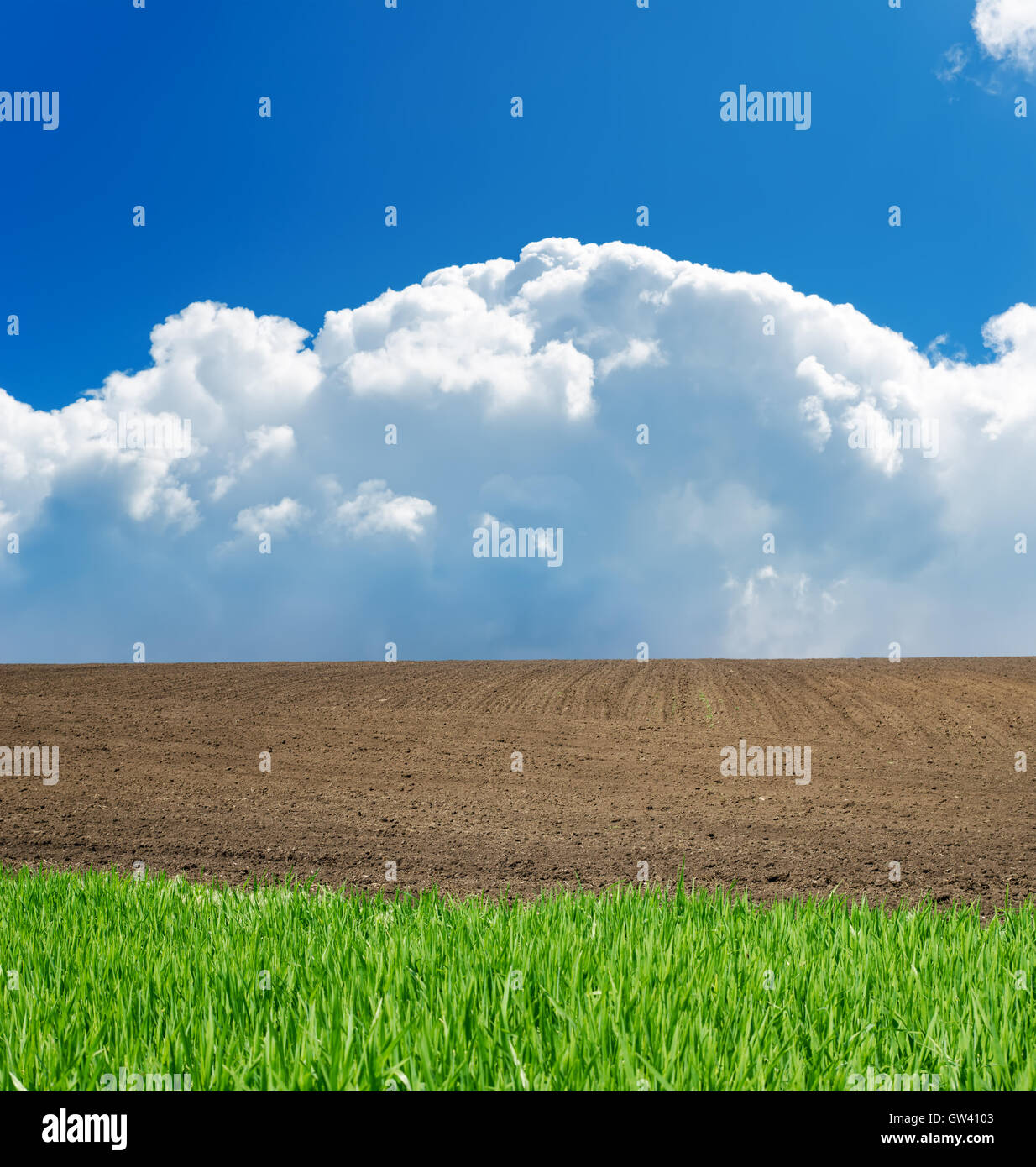 green, black, white and blue landscape Stock Photo - Alamy