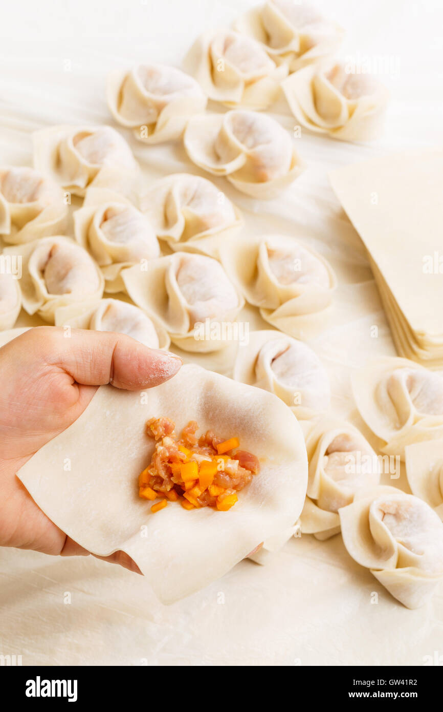 Wrapping of Chinese dumpling Stock Photo Alamy