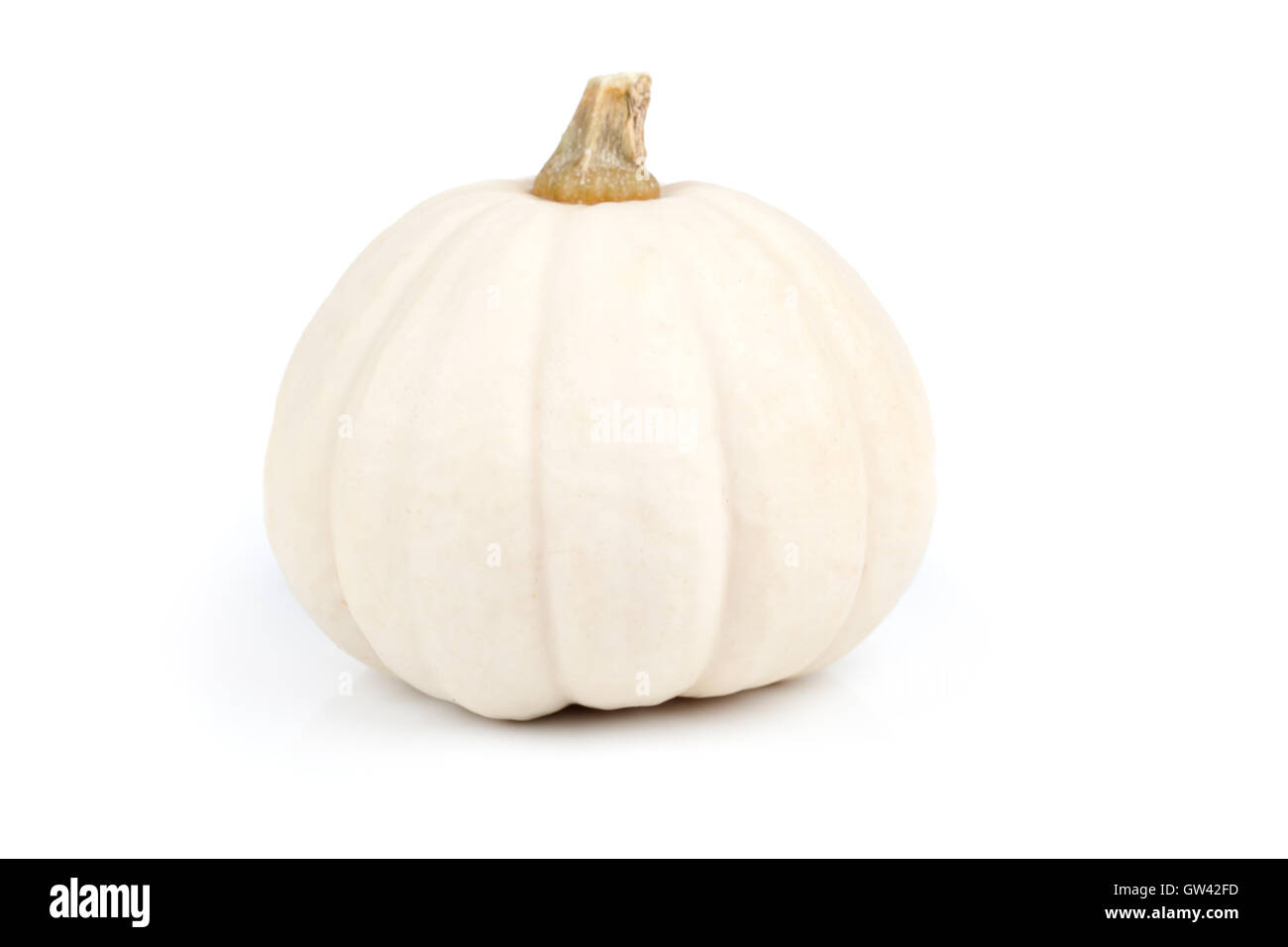 mini pumpkin isolated on white background Stock Photo - Alamy