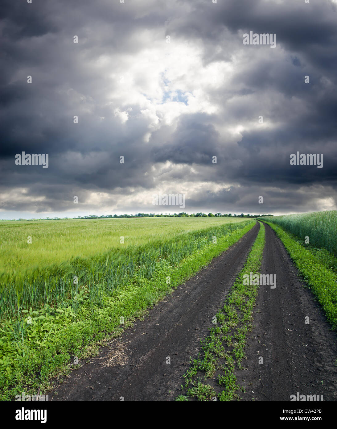 rural road in green field under cloudy sky Stock Photo - Alamy