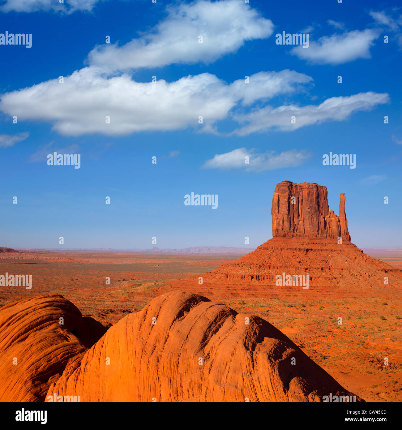 Monument Valley West Mitten Butte Utah Stock Photo Alamy