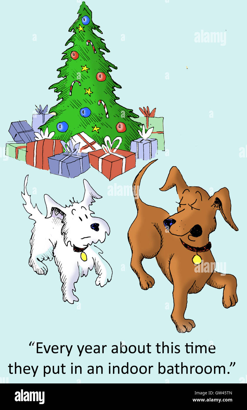 Christmas and the Dog Stock Photo