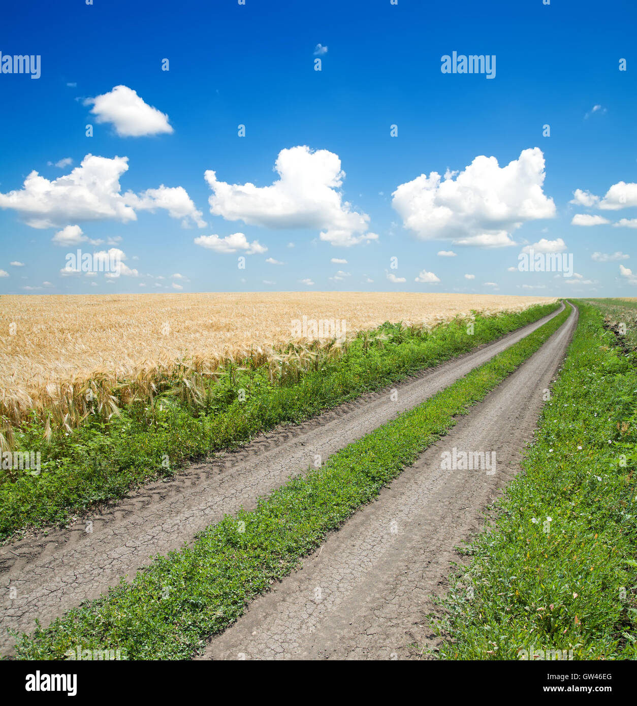 road in green field under beautiful blue sky Stock Photo - Alamy