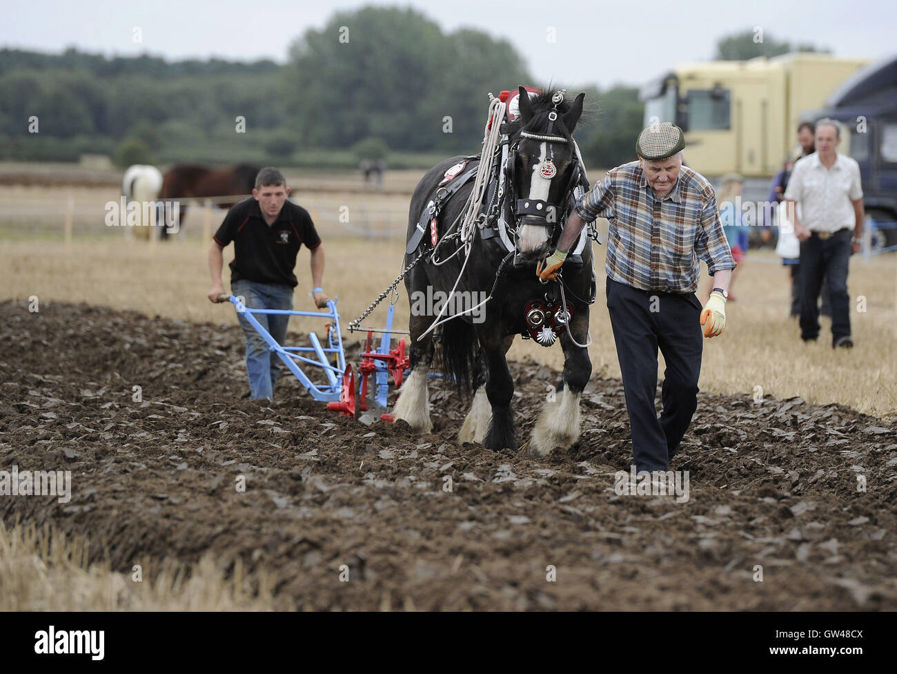 Bertie Faulkner and Declan Feris with their plough horse Sam at the World Ploughing Contest at Crockey Hill near York, where representatives from over thirty countries competed in various categories that included vintage and horse drawn alongside conventional tractors. Stock Photo