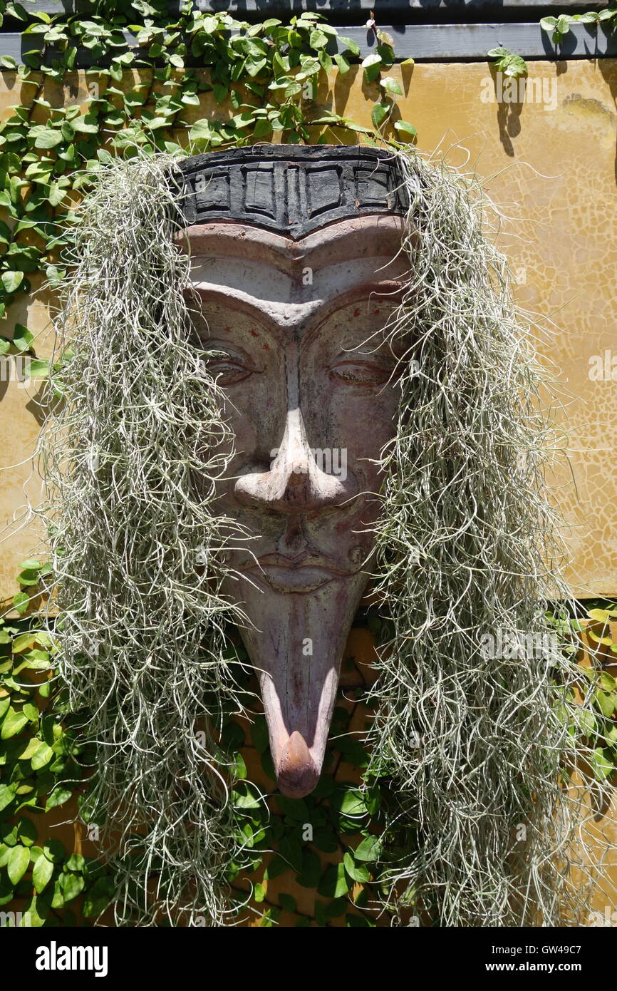 Plant hair hi-res stock photography and images - Alamy