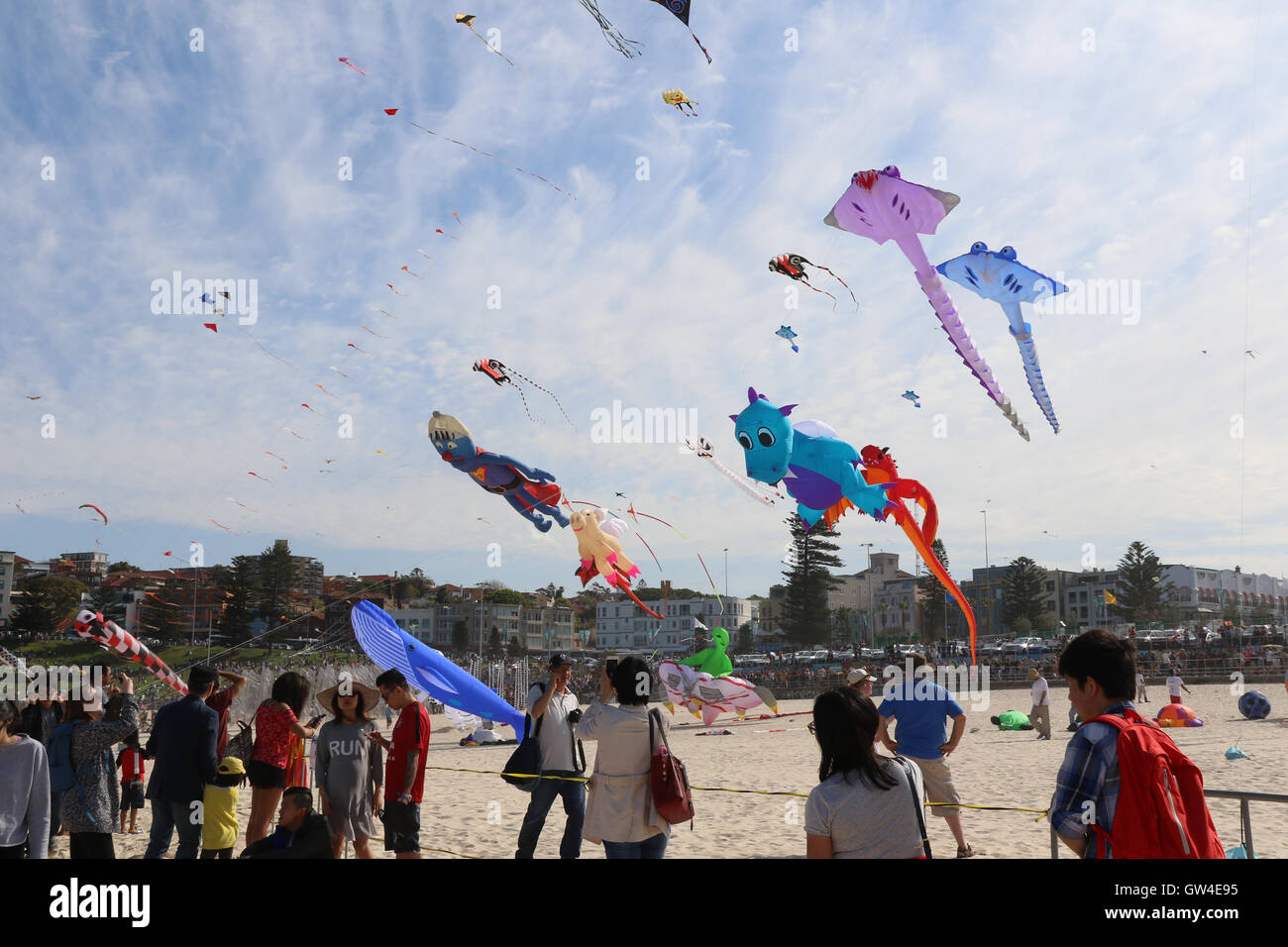 Sydney, Australia. 11 September 2016. Australia’s largest kite flying