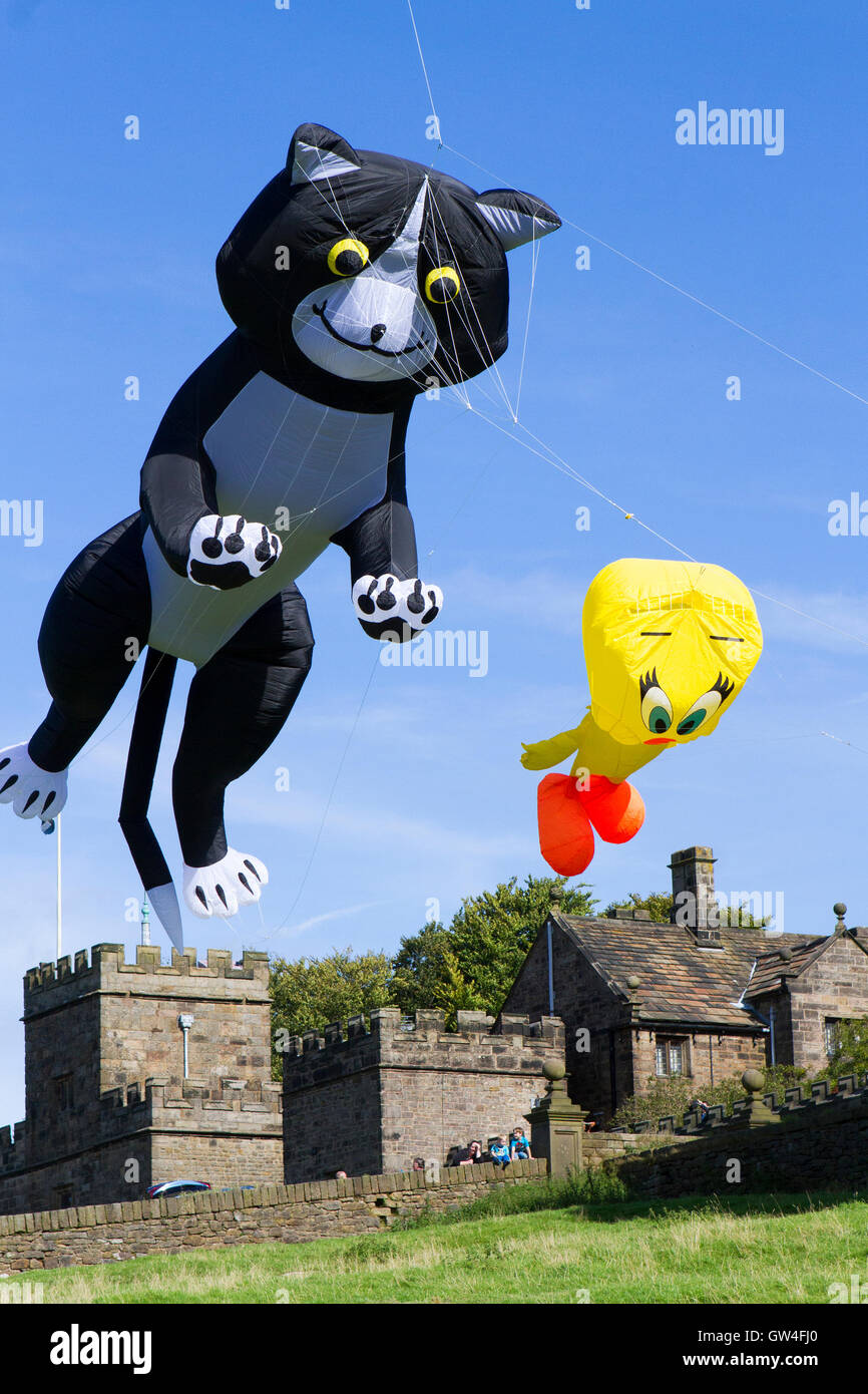 Preston, UK. 11th September, 2016. The Hoghton Tower kite festival takes place over the famous castle turrets as giant kites take to the air. Two & four line stunt kites including a giant octopus and 'Sylvester & Tweety Pie' flew gracefully in the sunshine as the children looked on in amazement. This event drew hundreds of visitors who were blessed with a lovely warm sunny day to picnic in the grounds and watch the giant inflatables. Credit:  Cernan Elias/Alamy Live News Stock Photo