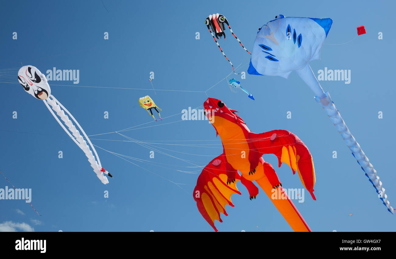 Lots of kites hires stock photography and images Alamy