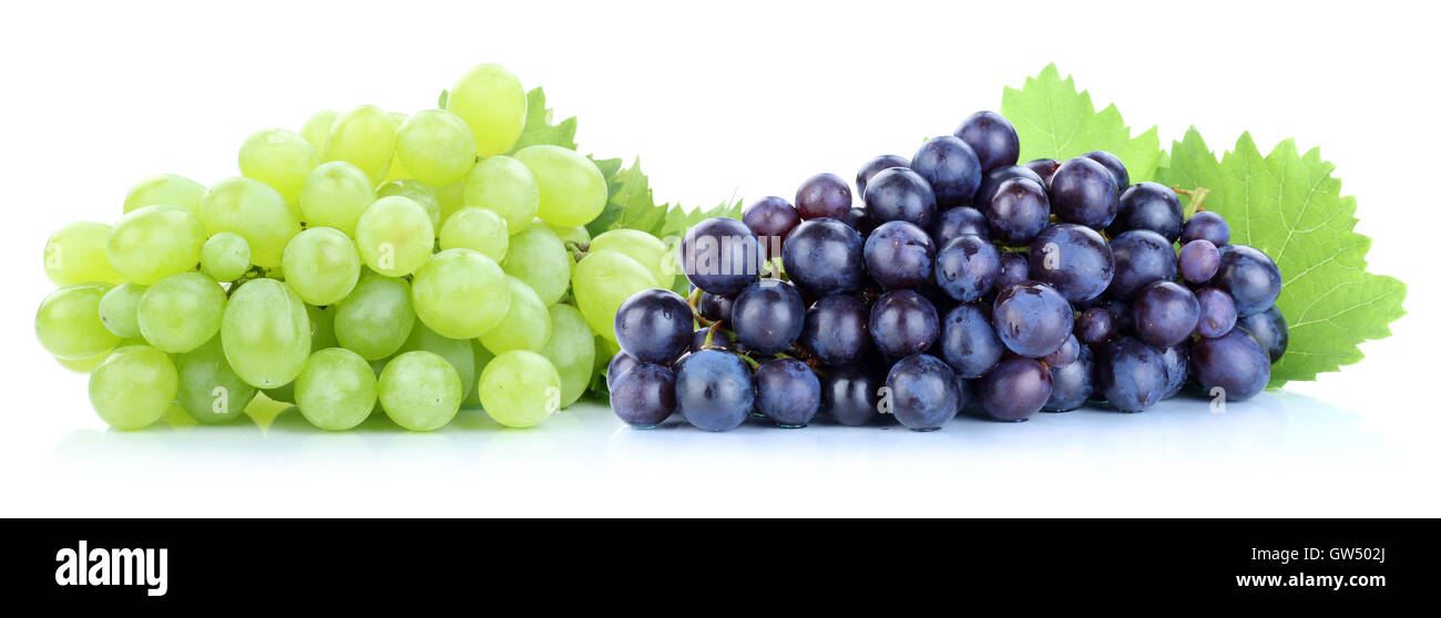 Grapes green blue fresh fruits fruit isolated on a white background Stock Photo
