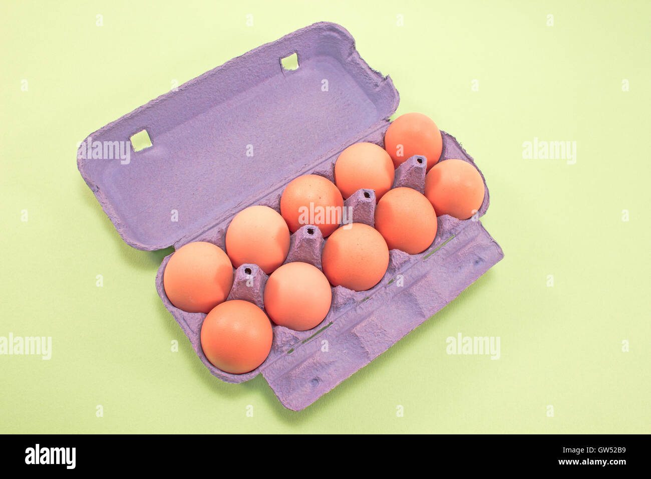Eggs in cardboard isolated on  green Stock Photo