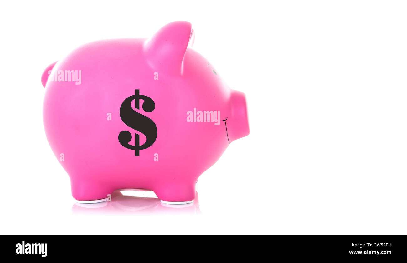 Pink Piggy Bank with a Dollar Symbol on a white background with copy ...