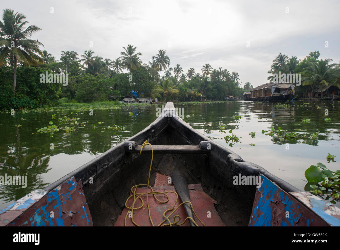 Travelling the back waters in a small traditional boat in Alappuzha (Alleppey), Kerala, Southern India Stock Photo