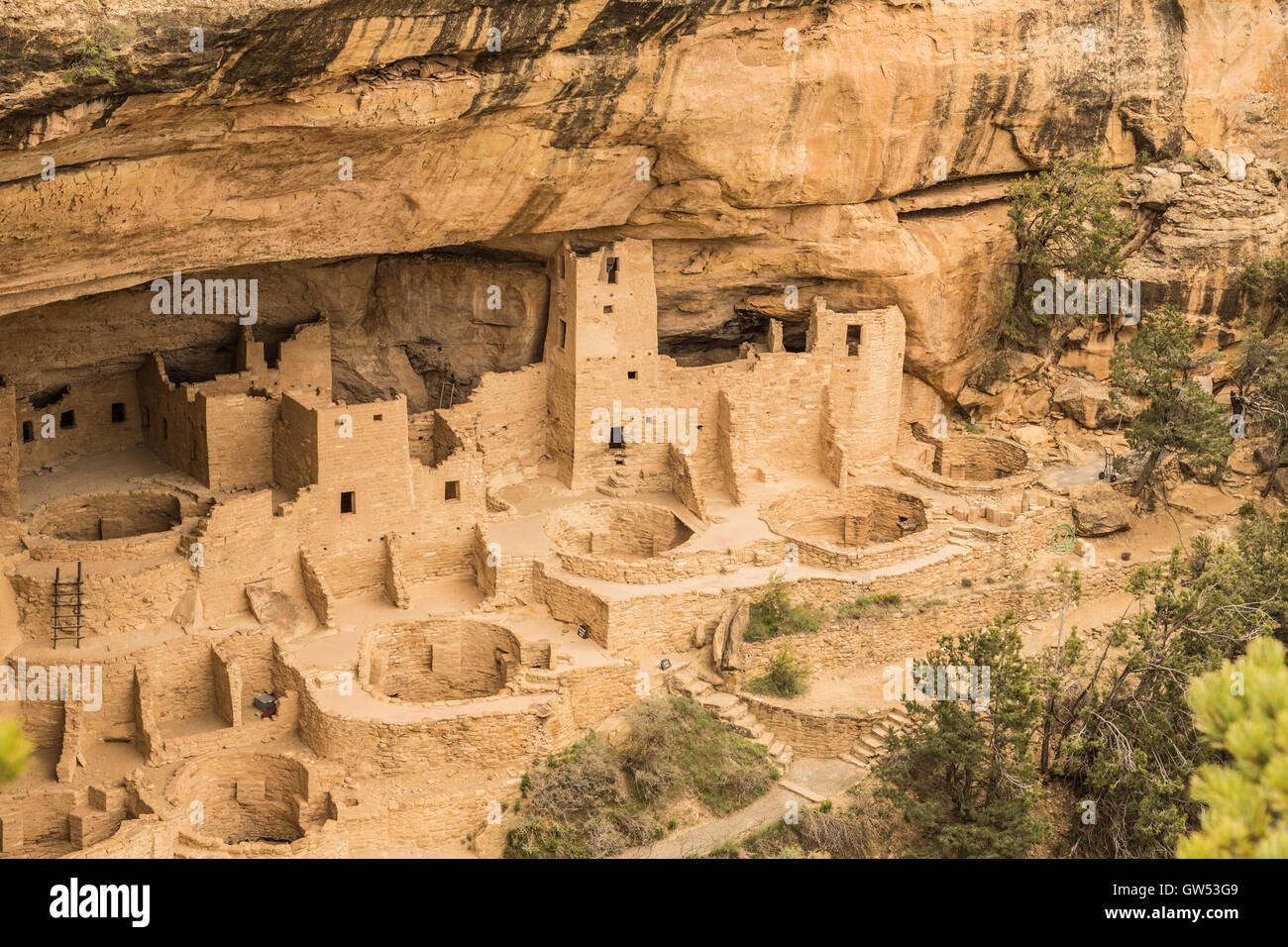 Mesa Verde National Park Cliff settlement USA Stock Photo Alamy