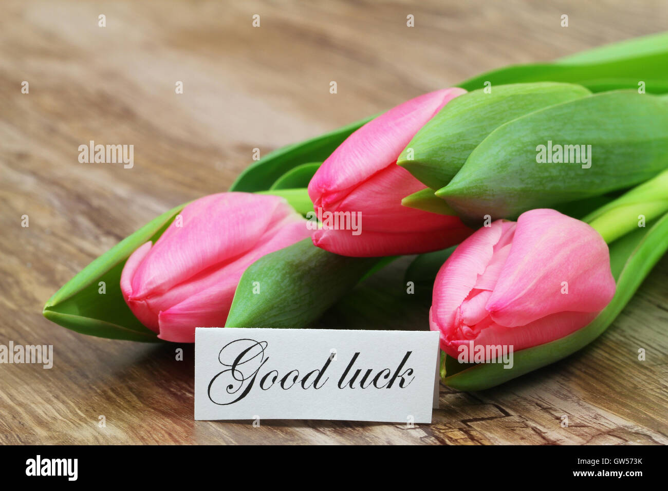 Good luck card with pink tulips on wooden surface Stock Photo Alamy