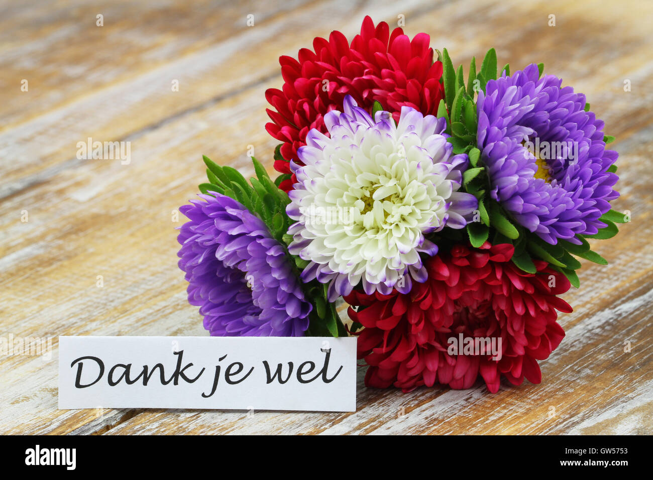 Dank je wel (thank you in Dutch) card with colorful aster flower bouquet on rustic wooden surface Stock Photo