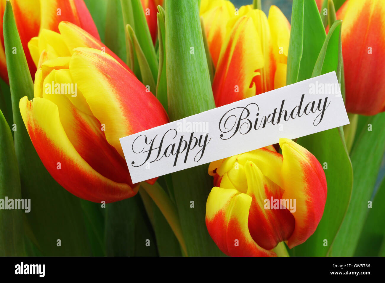 Happy Birthday card with background of colorful tulips Stock Photo - Alamy