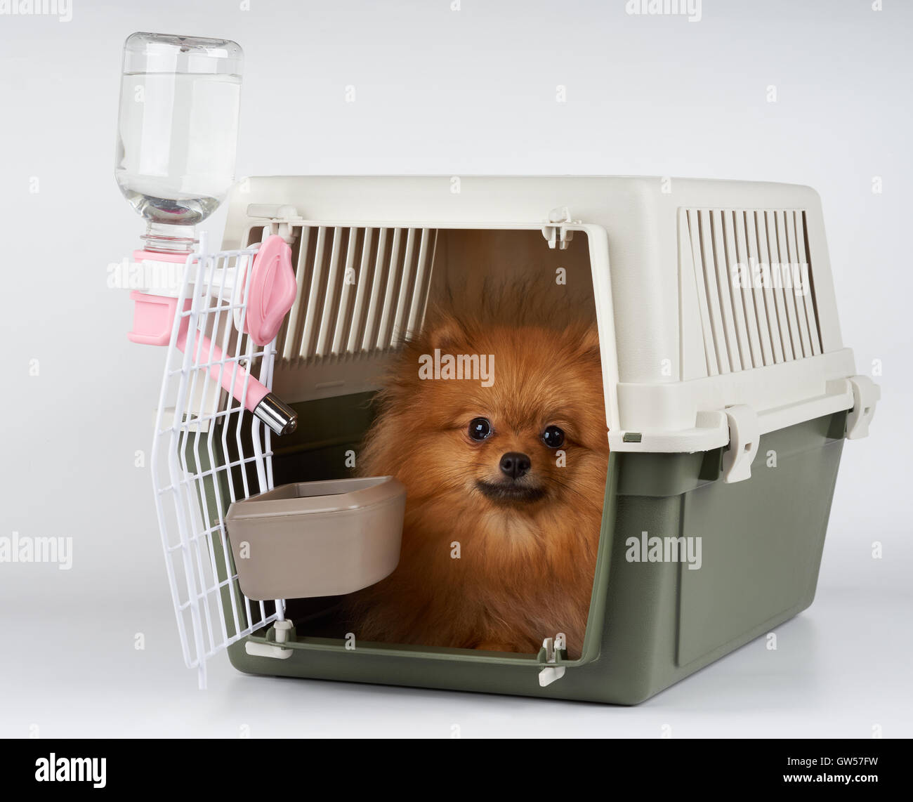 pomeranian cage