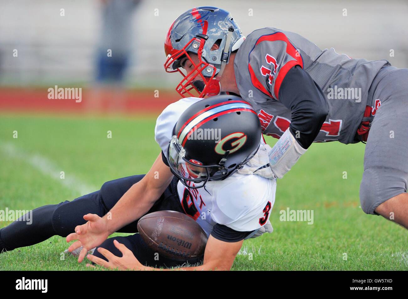 High school quarterback on a fumble while being pounced on by a defensive back who arrived too late to make the recovery. USA. Stock Photo