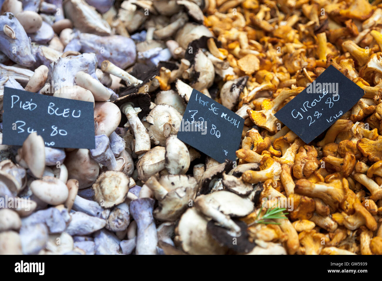 Mushrooms displayed at a market stall (Borough Market, London, UK) Stock Photo