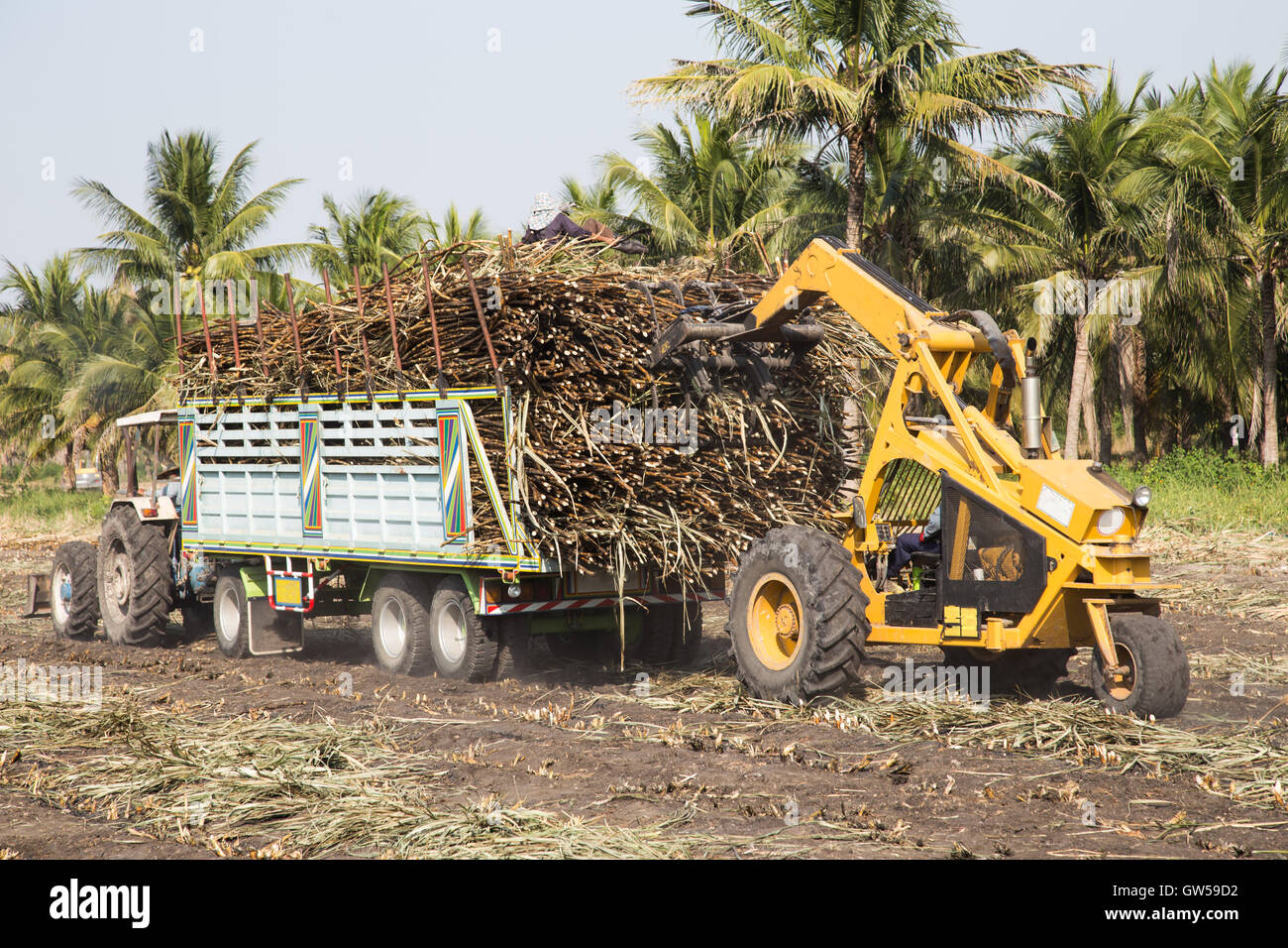 sugarcane truck Stock Photo