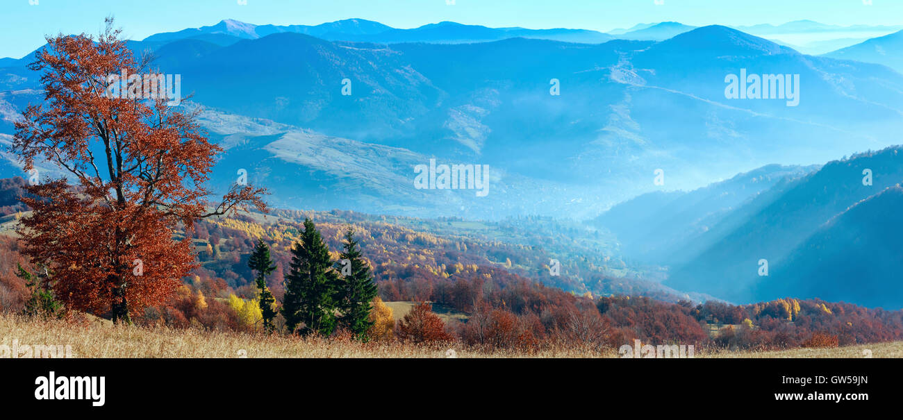 Autumn misty Carpathian mountain landscape with colorful trees on slope ...