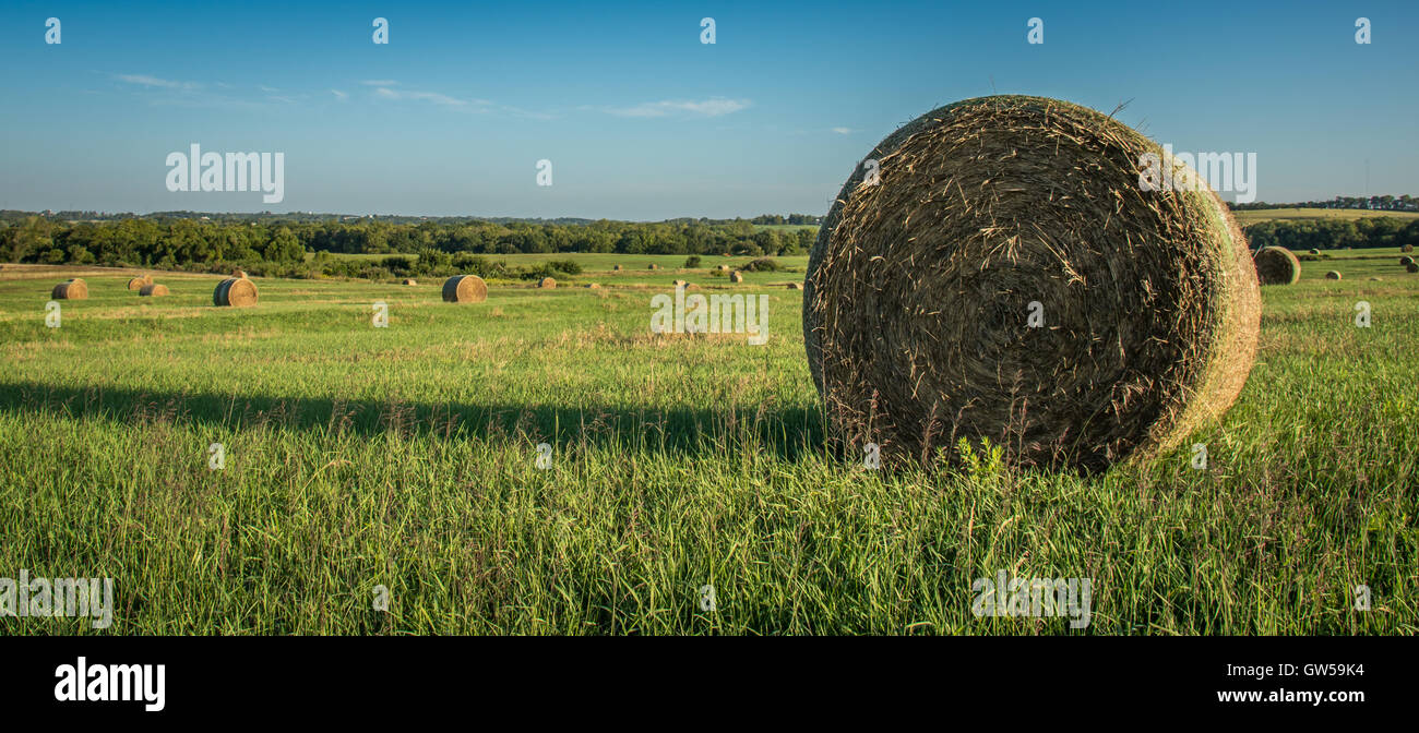bales of hay Stock Photo