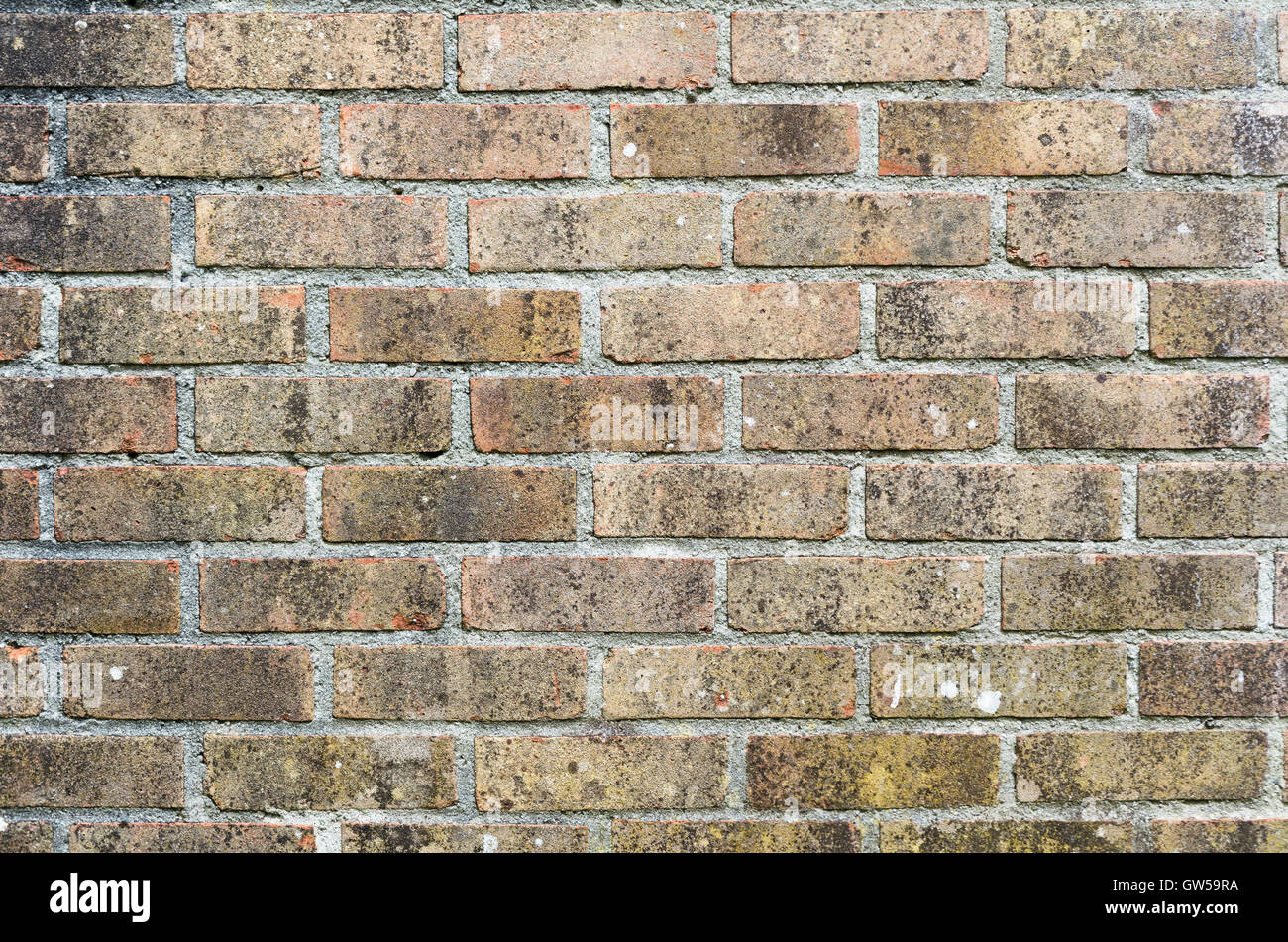 Landscape picture of nothing but a brick wall, with slight discoloration of the brickwork. Stock Photo