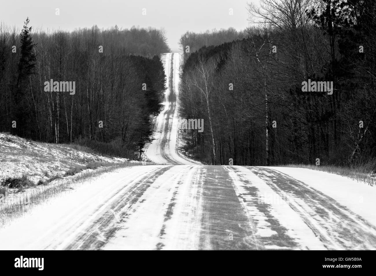 B&W vertical Shady Lane road in Wisconsin Stock Photo Alamy