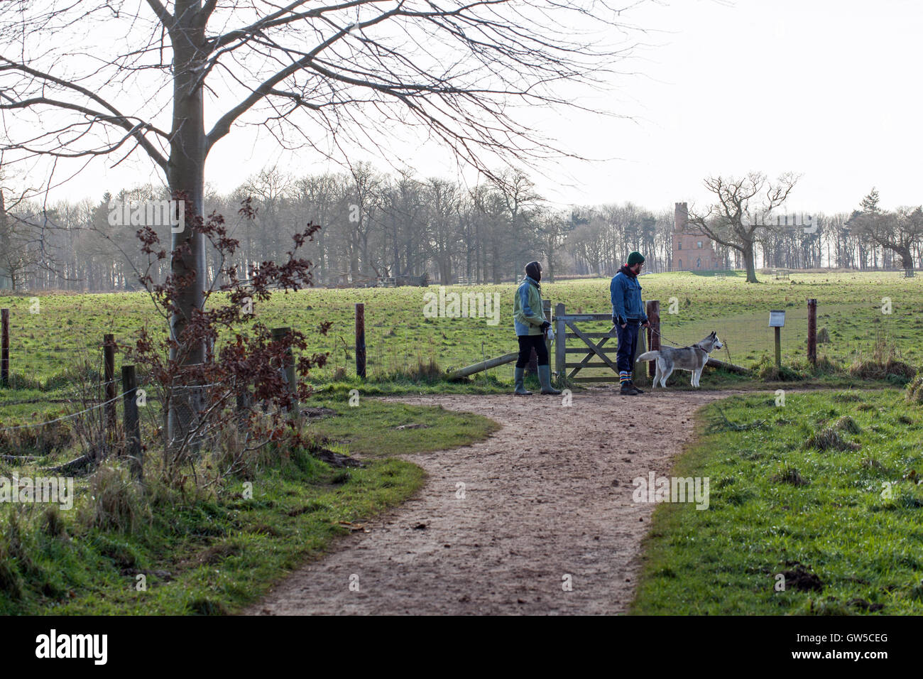Dog Walking. North Norfolk Countryside. England. UK. Winter Stock Photo