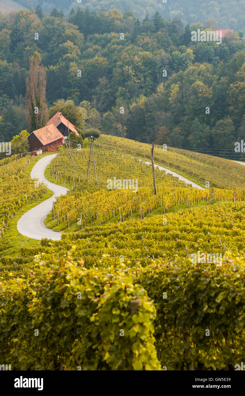 Road in a shape of a heart, Maribor, Slovenia Stock Photo