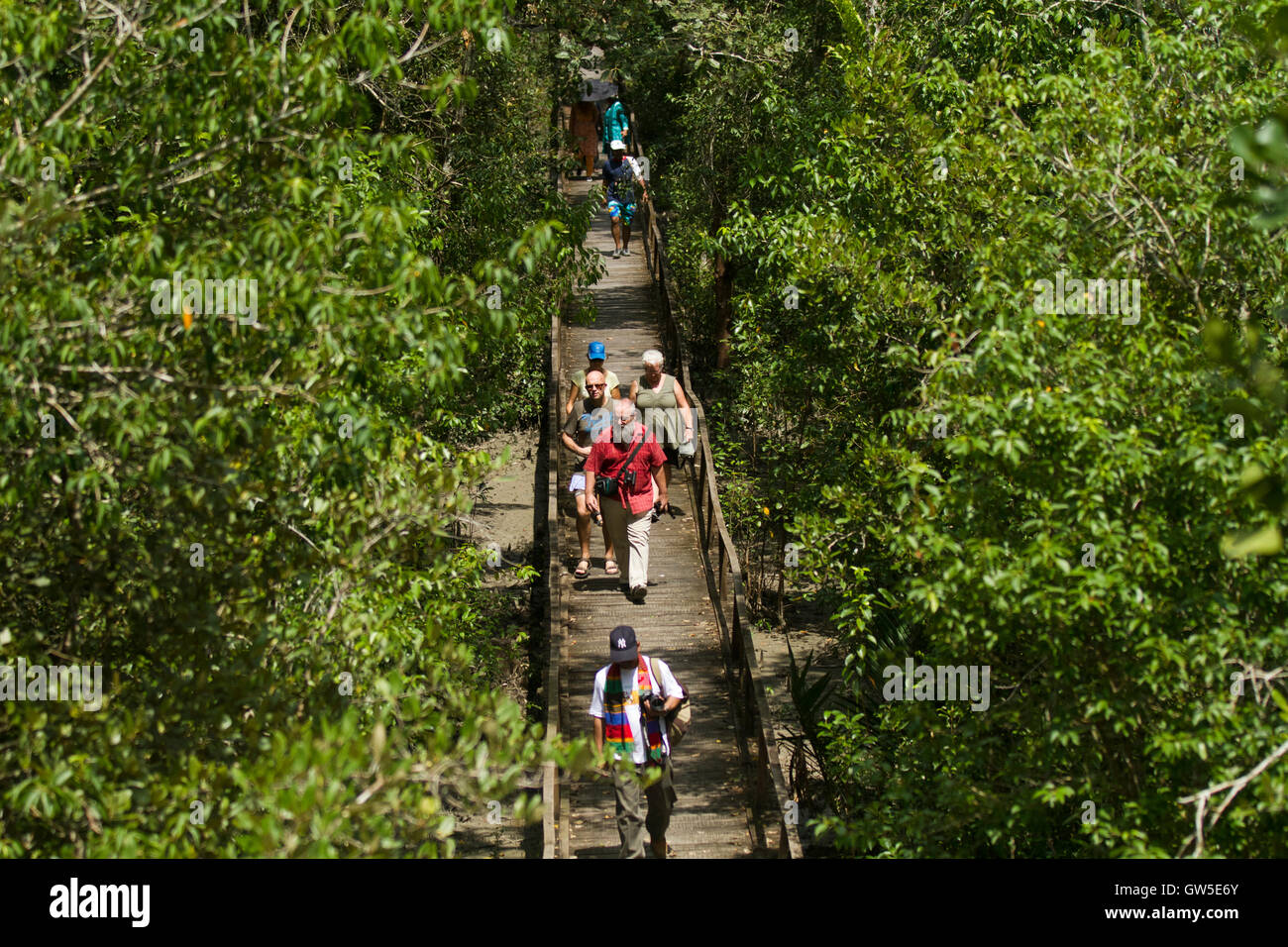 Ecotourism in the Sundarban