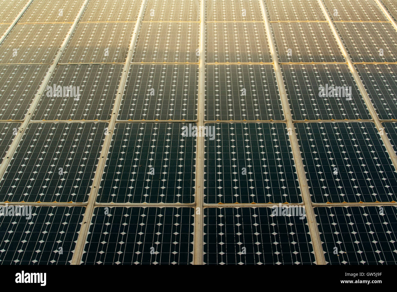 Sunlight on solar panels photovoltaic cell modules Stock Photo