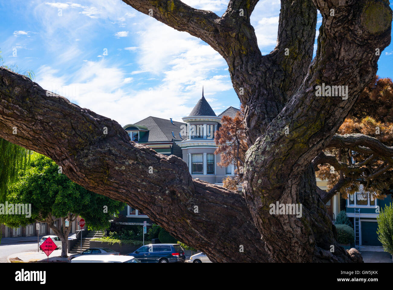 San Francisco, California, the colored traditional houses of Alamo square seen from the park Stock Photo