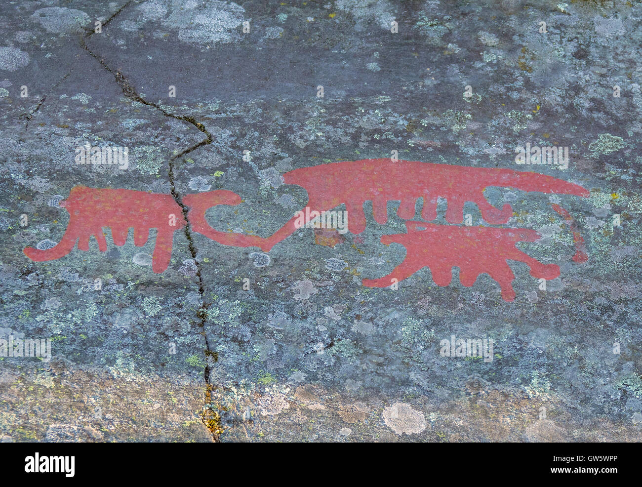 Swedish Petroglyphs in Norrkoping Stock Photo