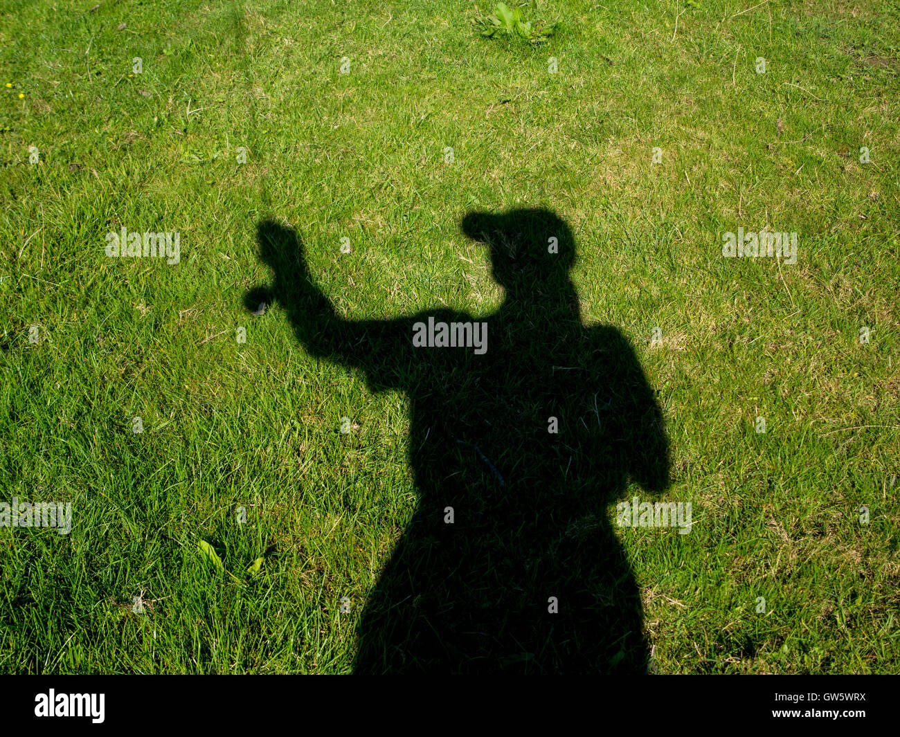 Silhouette of a fly fisherman casting Stock Photo