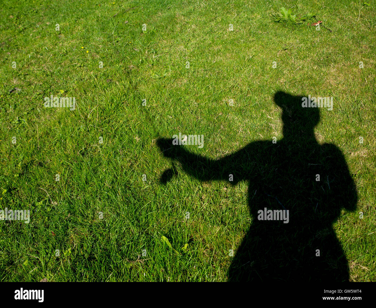 Silhouette of a fly fisherman casting Stock Photo