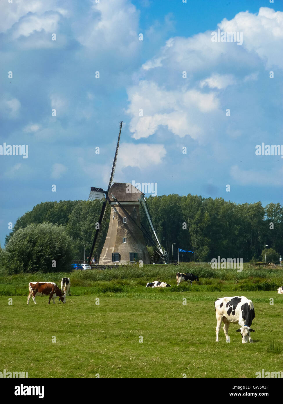 windmill at haastrecht in krimpenerwaard holland Stock Photo