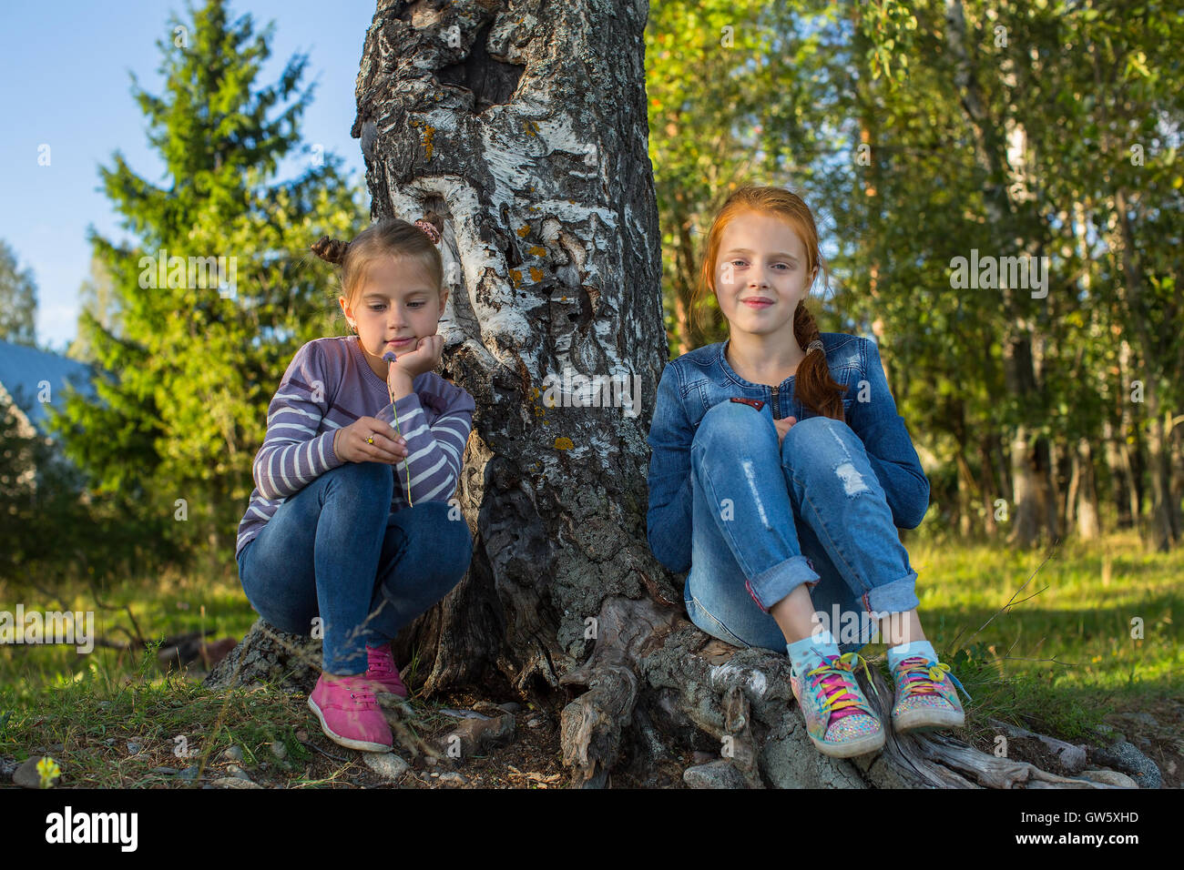 Two little girls sitting near the birches in the forest Stock Photo - Alamy