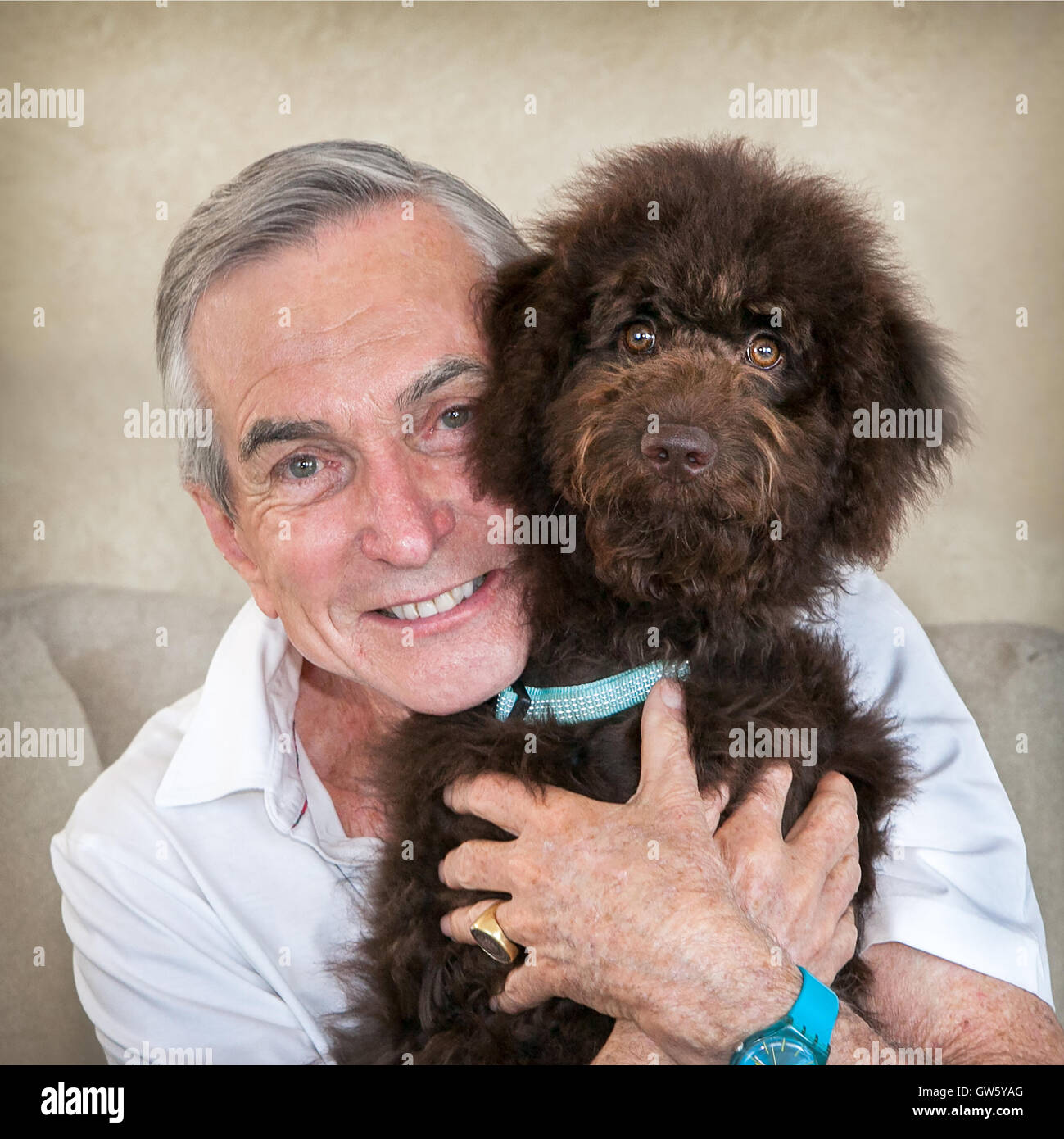 Senior mature man on couch holding pet puppy dog chocolate labradoodle. They are cheek to cheek.  The man is smiling. Stock Photo