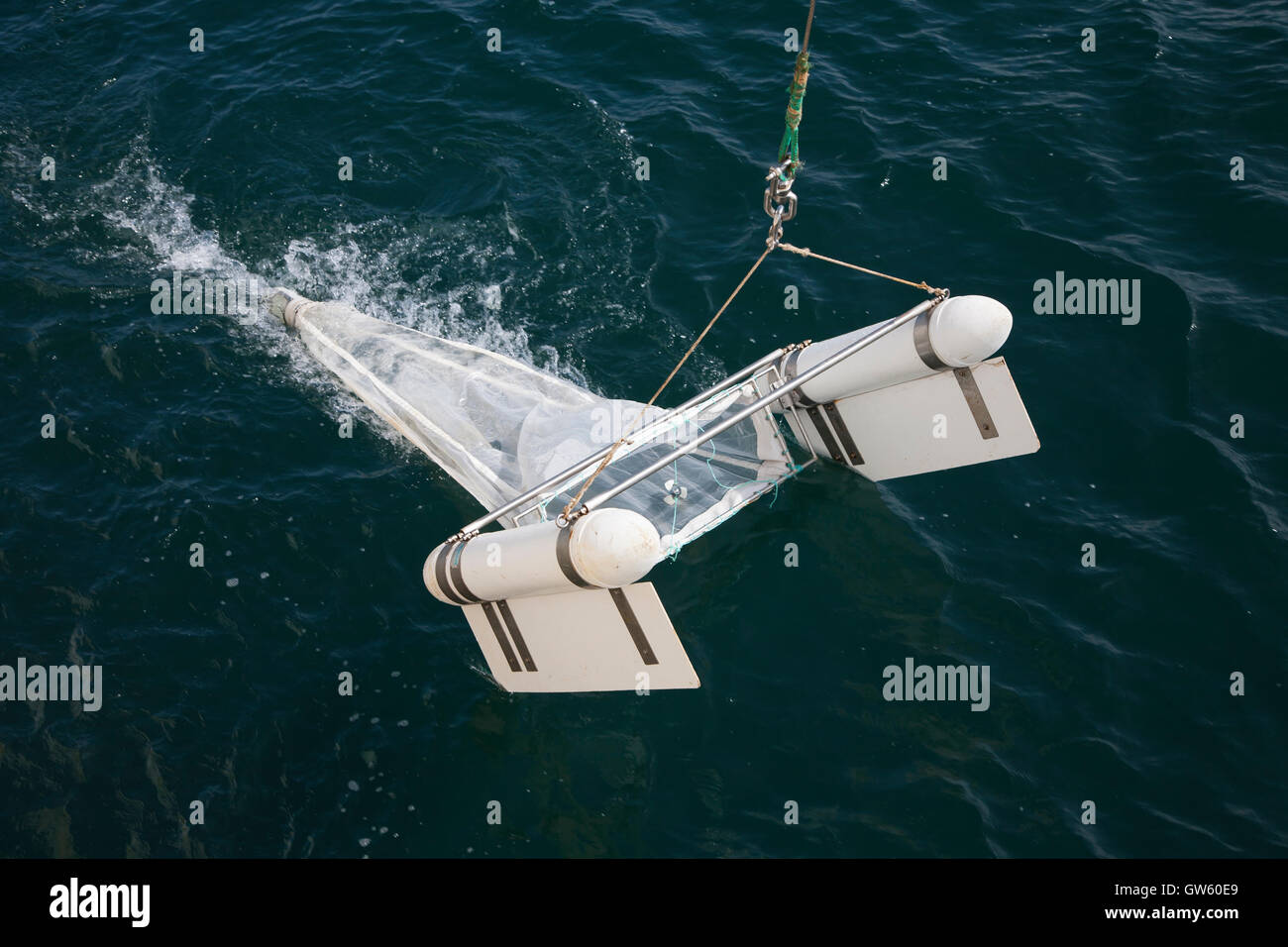 Plankton Organisms High Resolution Stock Photography and Images Alamy