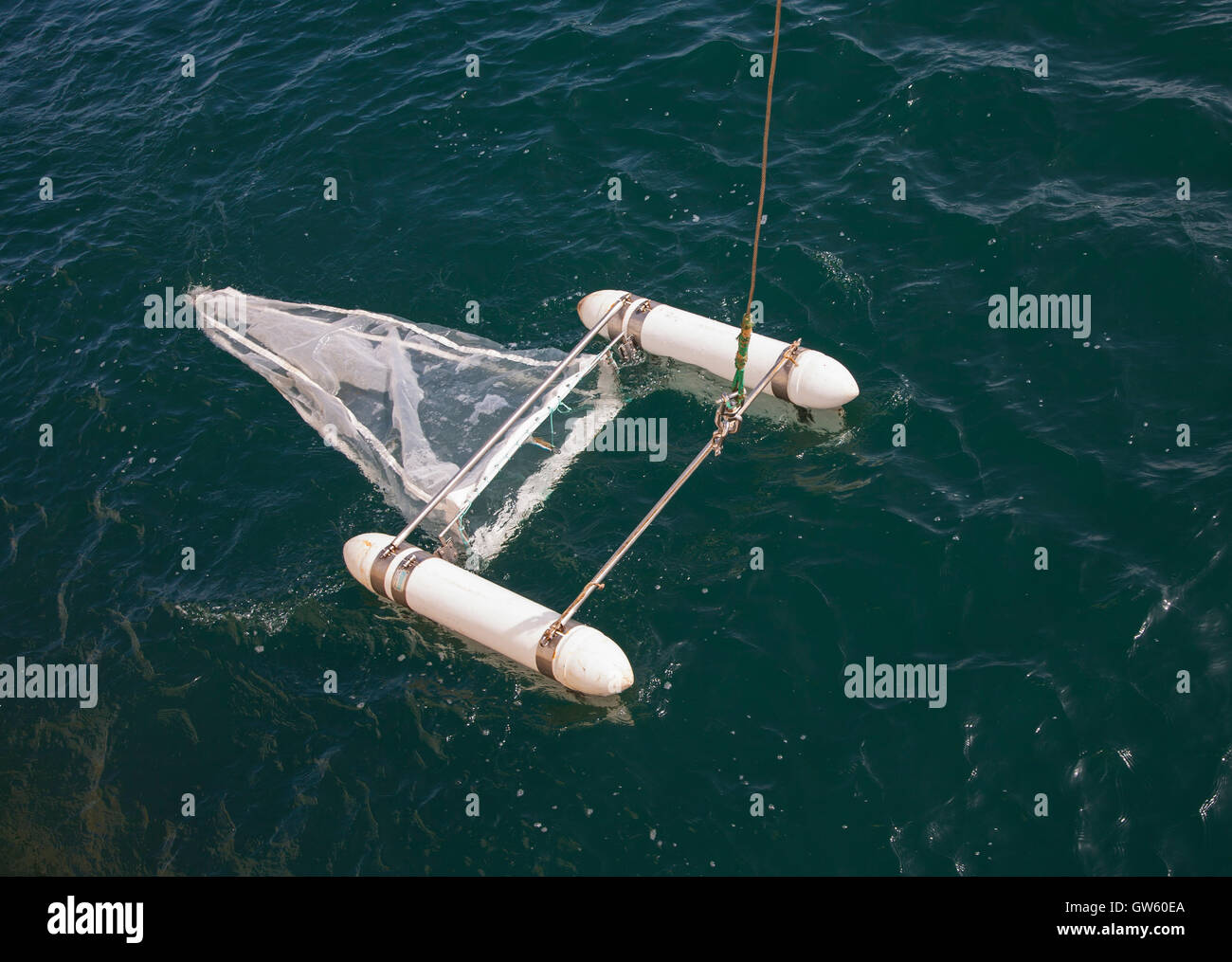 Plankton Net High Resolution Stock Photography and Images Alamy