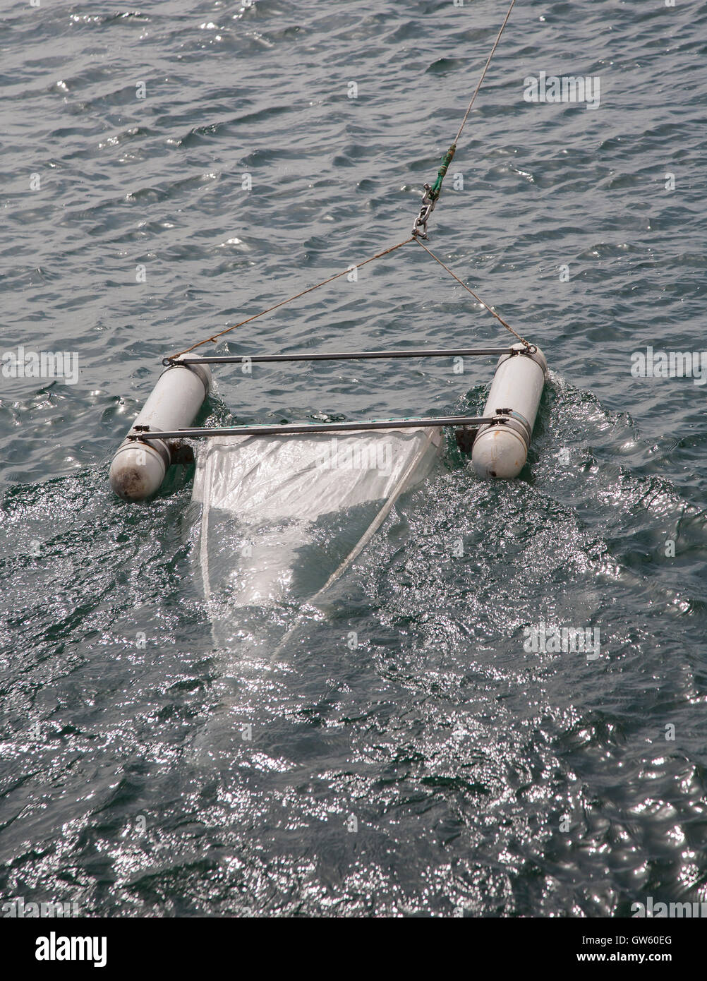 Marine Life Studies Stock Photos & Marine Life Studies Stock Images Alamy