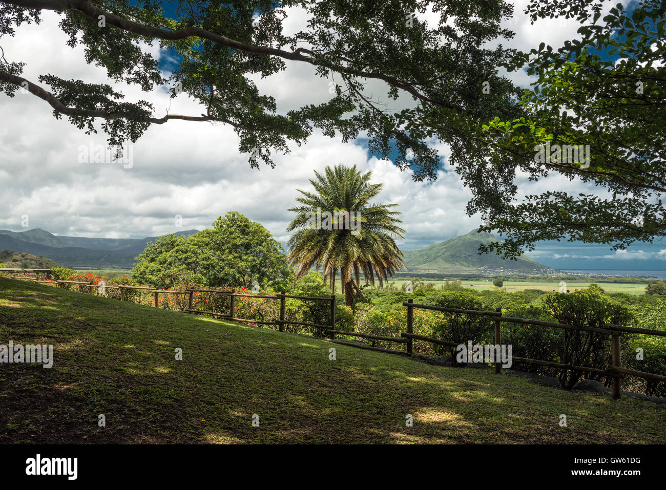 Casela Park landscape Mauritius Stock Photo - Alamy