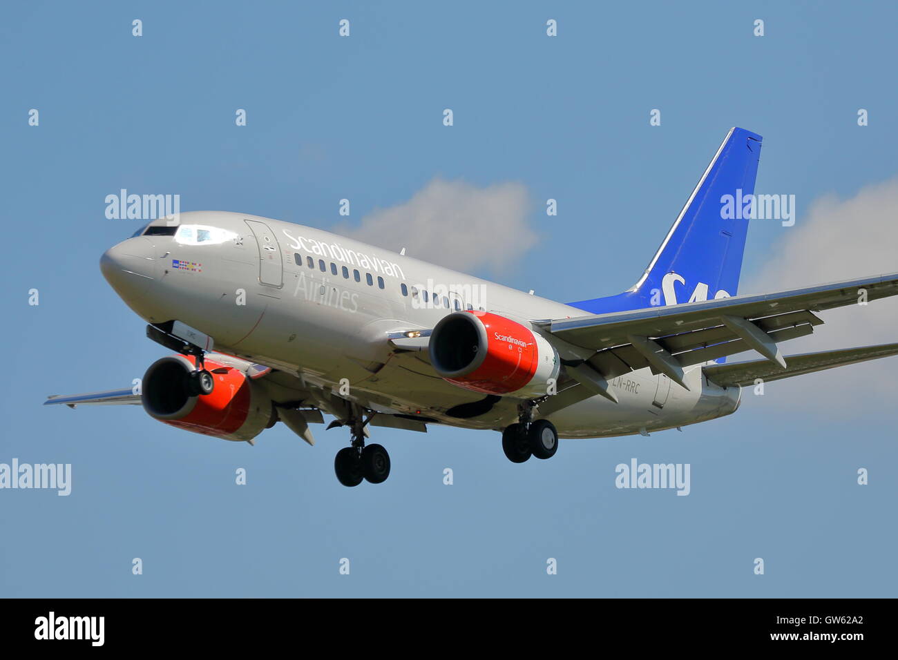 Scandinavian Airlines Boeing 737-600 LN-RRC landing at London Heathrow Airport, UK Stock Photo