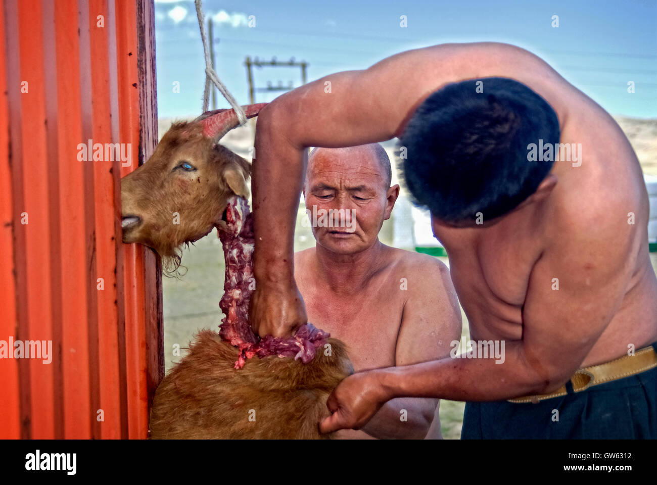 Goat killed hi-res stock photography and images - Alamy